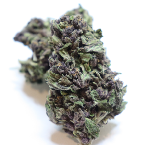 APPLE JACK WEED | APPLE JACK WEED STRAIN FOR SALE