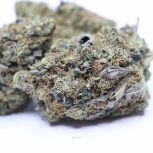 Astro Pink | Astro Pink Strain | Astro Pink Weed Strain