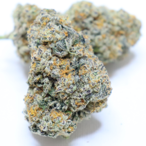LAVA ROCK EXOTIC WEED STRAIN | LAVA ROCK EXOTIC STRAIN