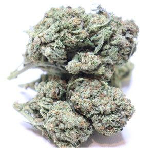 TAHOE ALIEN WEED STRAIN | BUY TAHOE ALIEN WEED