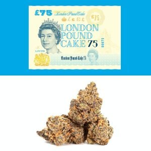 London Pound Cake Cookies Strain Sativa Marijuanas Flower