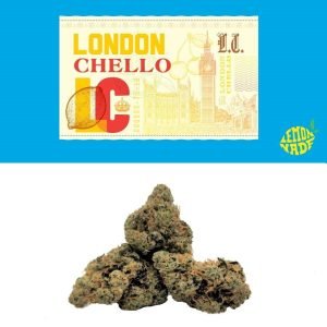 London Chello Cookies Weed Strain | Cookies Weed Strain