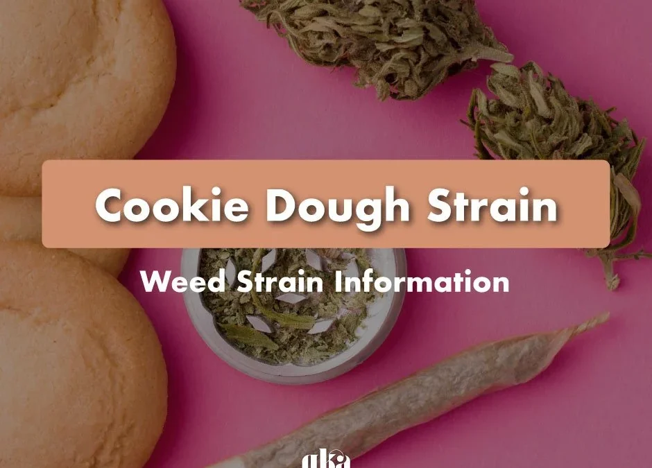 Cookie Dough Strain Review | Cookie Dough Weed Strain