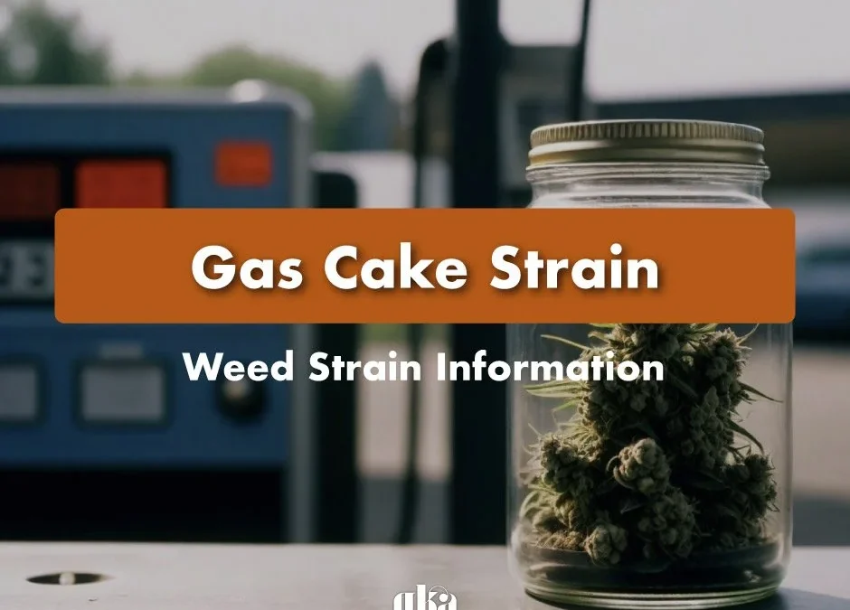 Gas Cake Strain Review: Comprehensive Cannabis Strain Information | Yummy Buds Dispensary