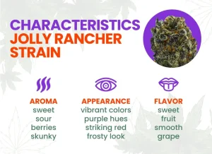 Jolly Rancher Strain Review | Jolly Rancher Weed Strain