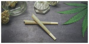 Blunts, Joints, and Pre-Rolls Compared | Cannabus Dispensary