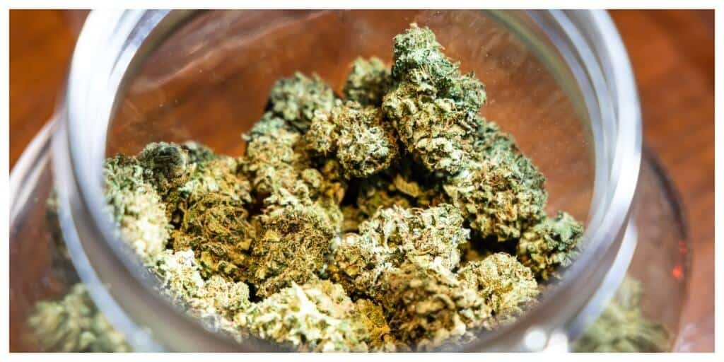 How Long Does Weed Stay Fresh? Storage Tips to Prevent It From Going Bad