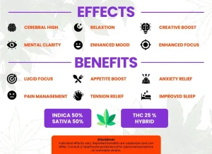 Mochi Strain Review: Comprehensive Marijuana Strain Information & Cultivation Guide