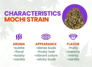 Mochi Strain Review | Mochi Weed Strain  
