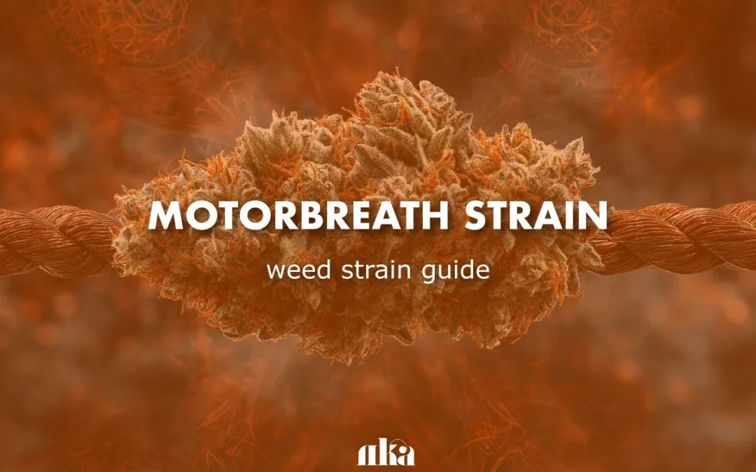 Motorbreath Strain Review: AKA Motor Breath Weed Strain Guide
