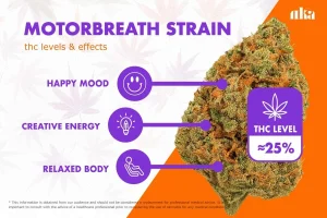 Motorbreath Strain Review: AKA Motor Breath Weed Strain Guide