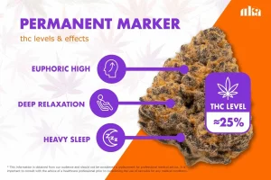 Permanent Marker Strain Review