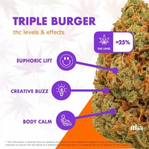 Triple Burger Strain Review: Comprehensive Weed Strain Guide
