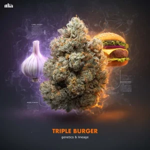 Triple Burger Strain Review: Comprehensive Weed Strain Guide